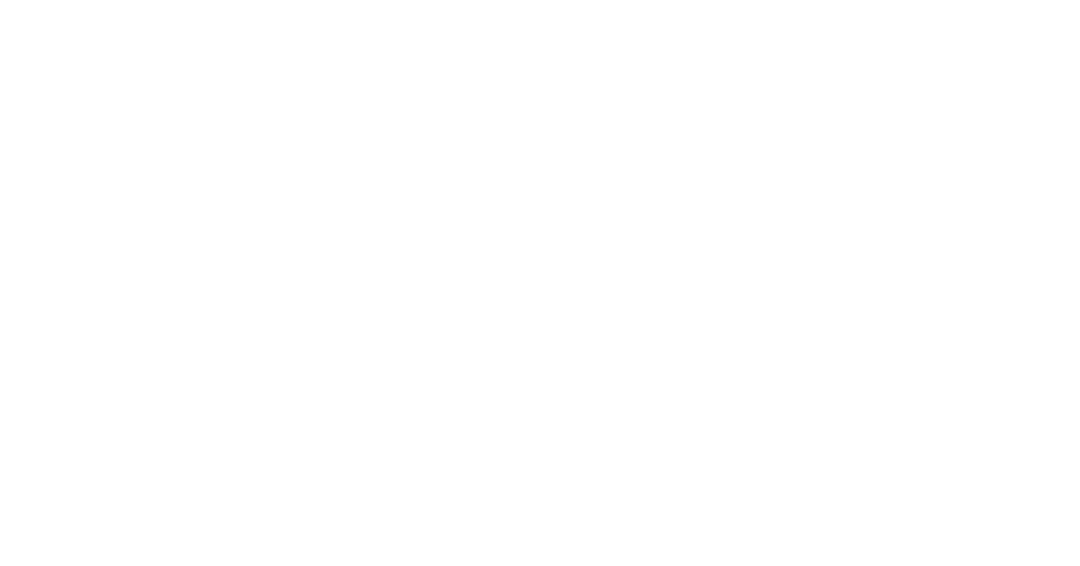 Logo REINFLEX+